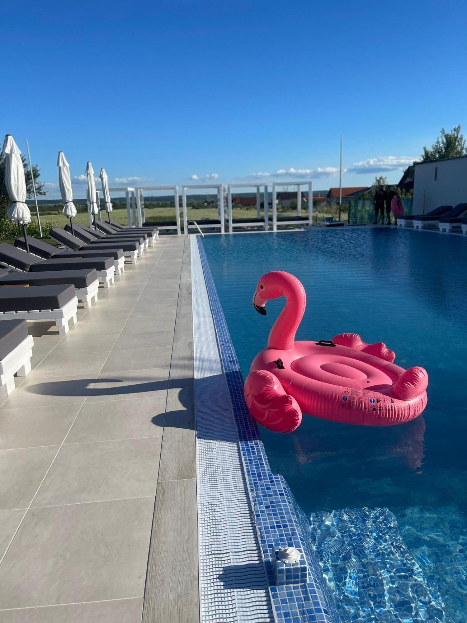 Târgu Jiu Hotel Goya Boutique מראה חיצוני תמונה