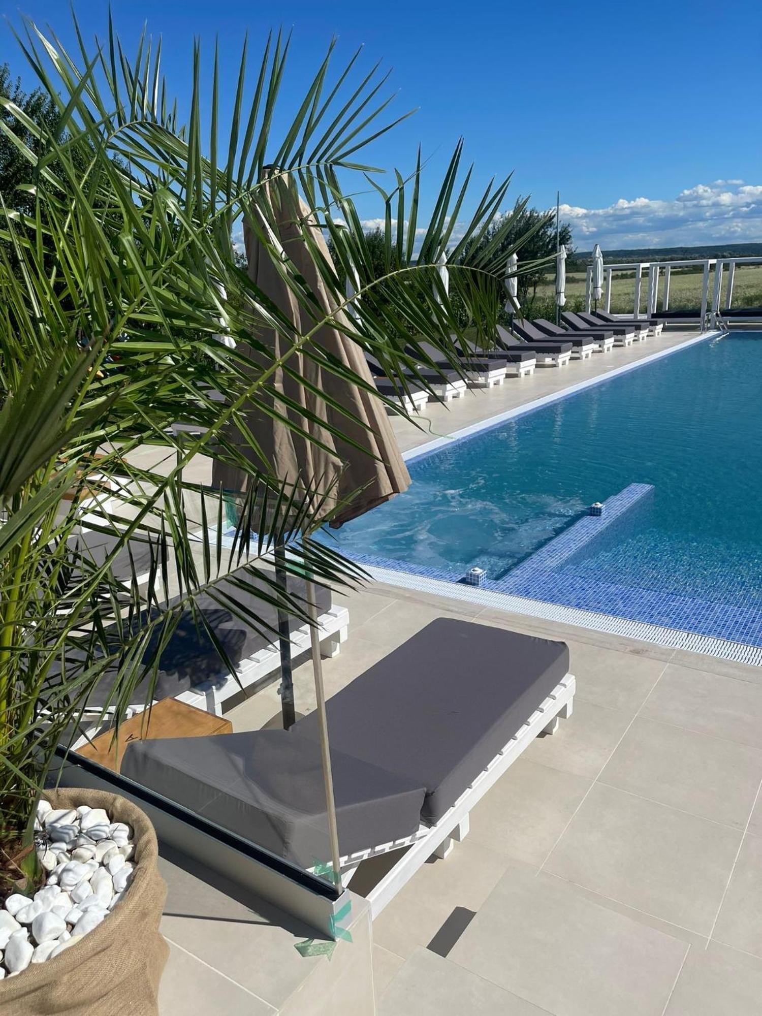 Târgu Jiu Hotel Goya Boutique מראה חיצוני תמונה